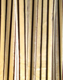 Premium Quality Velvet Drapes and Curtains